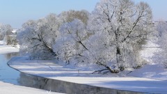 Landscapes nature Trees snow winter