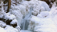 Landscapes nature Trees snow winter