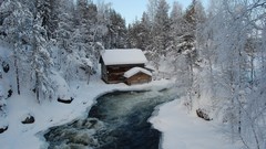 Landscapes nature Trees snow winter