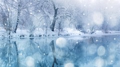 Landscapes nature Trees snow winter bright lakes reflections