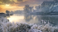 Landscapes nature Trees snow winter clouds frost reflections 