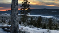 Landscapes nature Trees snow winter clouds gold cold white time 