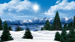 Landscapes nature Trees snow winter clouds sunbeams Morning Sun