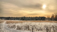 Landscapes nature Trees snow winter clouds sunlight forests 