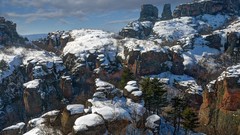 Landscapes nature Trees snow winter clouds white canyon