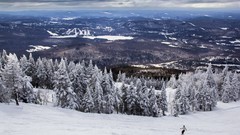 Landscapes nature Trees snow winter cold white Skiing forests