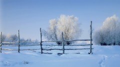 Landscapes nature Trees snow winter fences