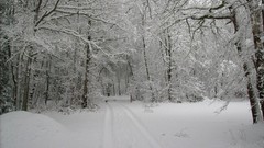 Landscapes nature Trees snow winter forests HDR Photography