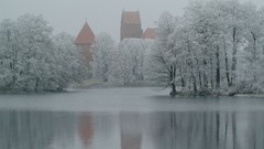 Landscapes nature Trees snow winter HDR Photography