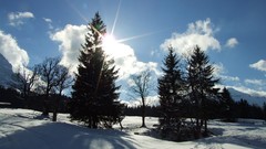 Landscapes nature Trees snow winter HDR Photography