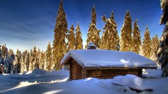 Landscapes nature Trees snow winter houses skylines