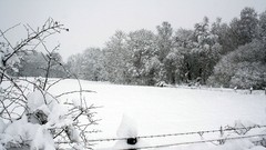 Landscapes nature Trees snow winter land monochrome fields 