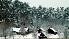Landscapes nature Trees snow winter mighty