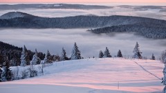 Landscapes nature Trees snow winter Mountains