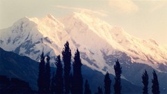 Landscapes nature Trees snow winter Mountains clouds evening 