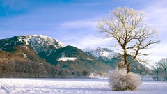 Landscapes nature Trees snow winter Mountains forests skyscapes