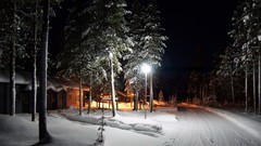 Landscapes nature Trees snow winter night