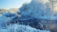 Landscapes nature Trees snow winter rivers