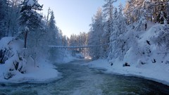 Landscapes nature Trees snow winter rivers