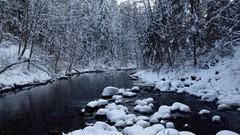 Landscapes nature Trees snow winter rivers