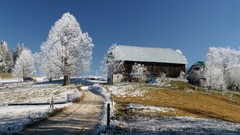 Landscapes nature Trees snow winter roads cottage