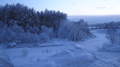 Landscapes nature Trees snow winter skylines