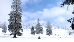 Landscapes nature Trees snow winter snow landscapes