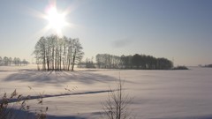Landscapes nature Trees snow winter sun land Frozen fields 