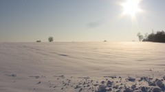 Landscapes nature Trees snow winter sun land Frozen fields 