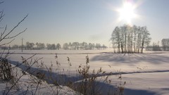 Landscapes nature Trees snow winter sun land Frozen fields 