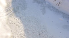 Landscapes nature Trees snow winter sun land Frozen fields 