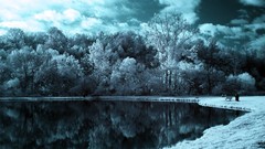 Landscapes nature Trees snow winter water clouds bench lakes 