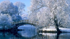 Landscapes nature Trees snow winter water Ducks Bridges lakes 