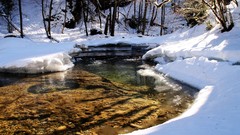 Landscapes nature Trees snow winter water land rivers forests