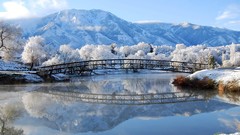 Landscapes nature Trees snow winter water Mountains Bridges 