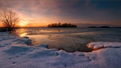 Landscapes nature Trees snow winter water sun