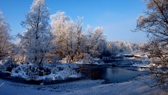 Landscapes nature Trees snow winter white Frozen lithuania 