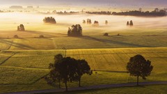 Landscapes nature Trees South Africa mist fields farms