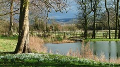 Landscapes nature Trees spring lakes Parks