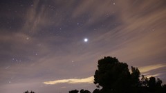 Landscapes nature Trees Stars Orion skyscapes