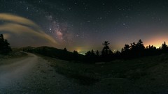 Landscapes nature Trees Stars skies