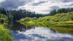 Landscapes nature Trees streams forests