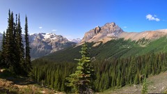Landscapes nature Trees summer Green sunny forests snowy peaks