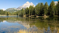Landscapes nature Trees summer reflections