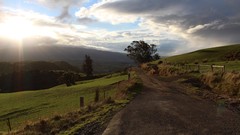 Landscapes nature Trees sun blue white Green skies