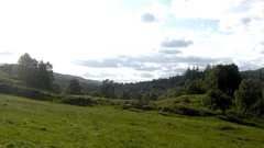 Landscapes nature Trees sun clouds hills Scotland fields HDR 