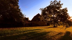Landscapes nature Trees sun houses