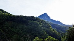 Landscapes nature Trees sun Mountains sunlight skies