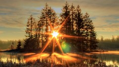 Landscapes nature Trees sun rays rivers forests dawning