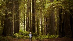 Landscapes nature Trees trunks guy Wood mighty